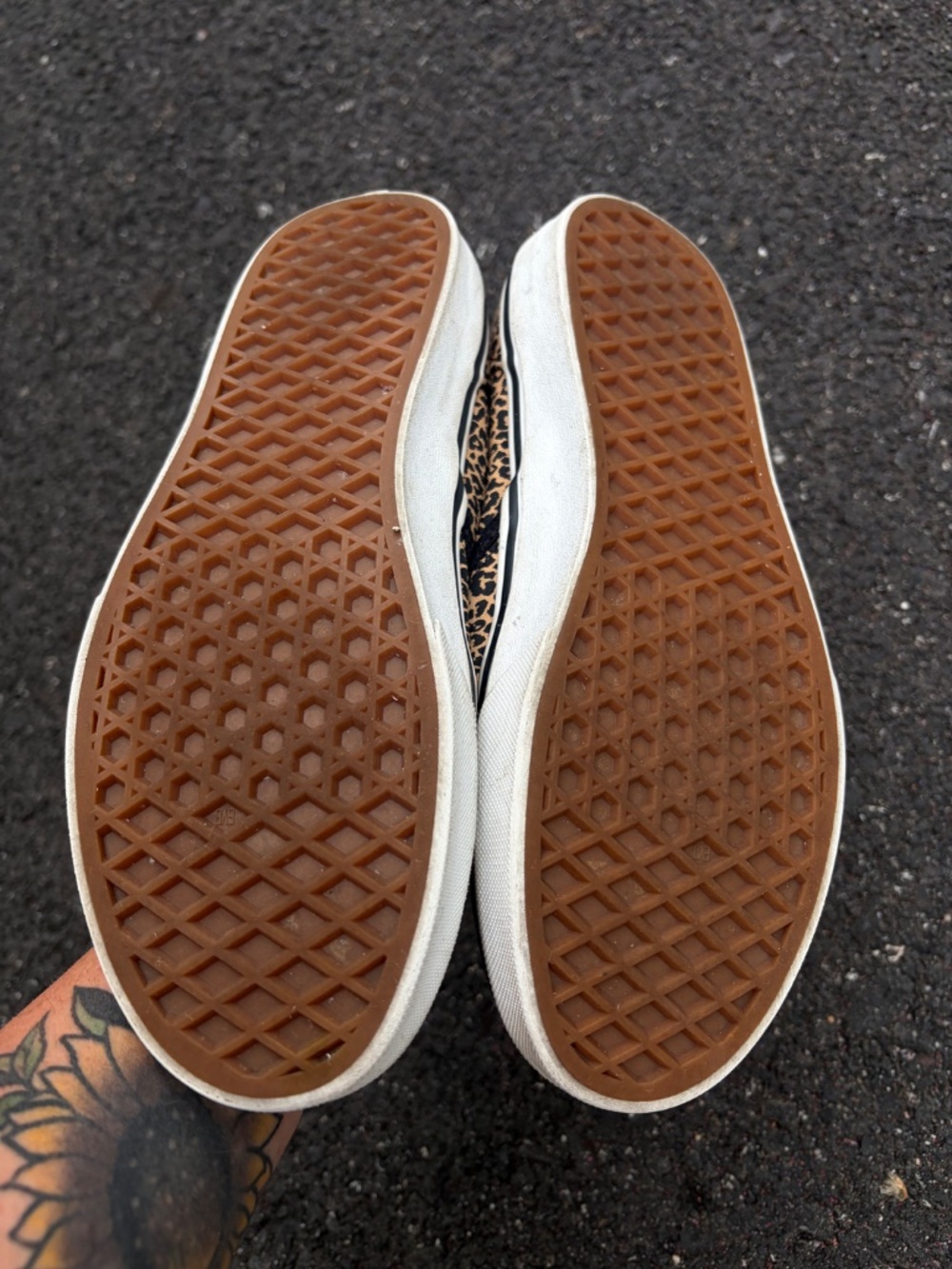 Cheetah Vans - Picture 2 of 3